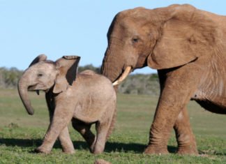 Nudge其實好多時都會失敗架……