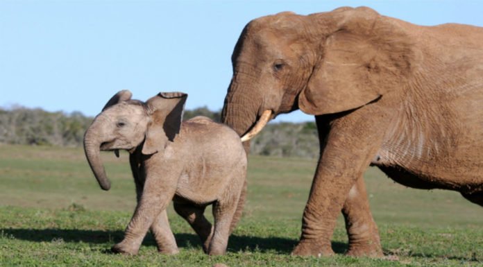 Nudge其實好多時都會失敗架……