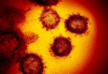 G7 嘅武漢肺炎聲明