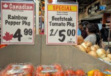 加拿大央行維持目標利率5厘 預明年通漲降至2%