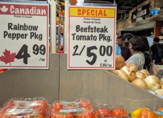 加拿大央行維持目標利率5厘 預明年通漲降至2%