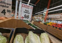 加拿大央行都要減半厘息?