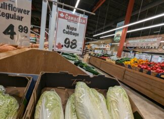 加拿大央行都要減半厘息?